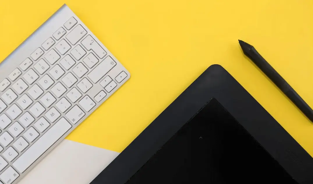 website maker in chandigarh